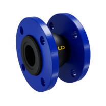 LD. Expansion joint | Carbon steel | Flanged DN 80 PN 16 | GOST
